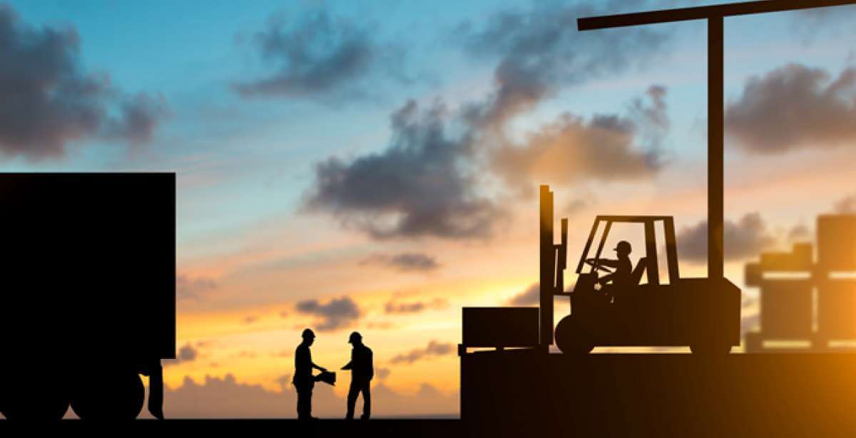 workers managing supply chain by moving goods, at sunrise